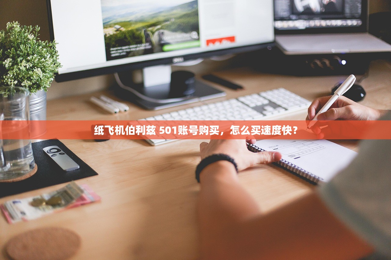 纸飞机伯利兹 501账号购买，怎么买速度快？