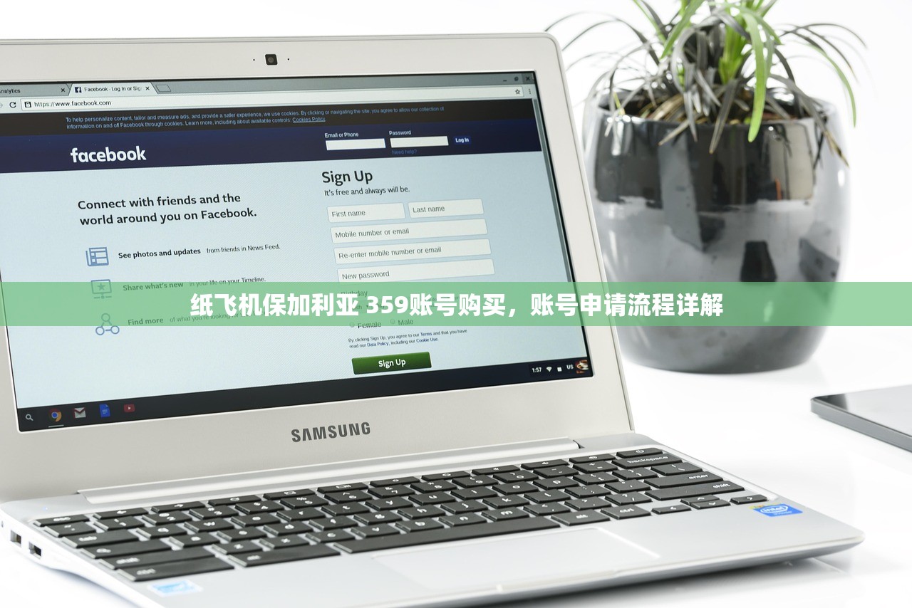 纸飞机圣卢西亚 1 (758) 账号购买,该账号能用多久?